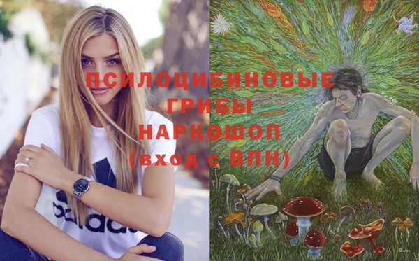 герыч Абаза
