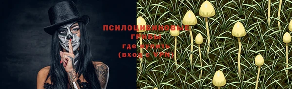 Альфа ПВП Абдулино