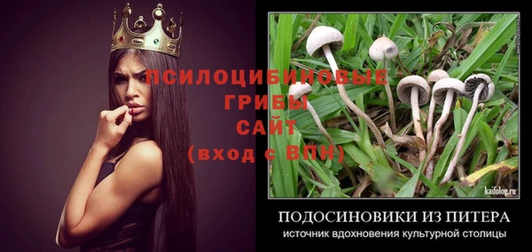 Альфа ПВП Абдулино