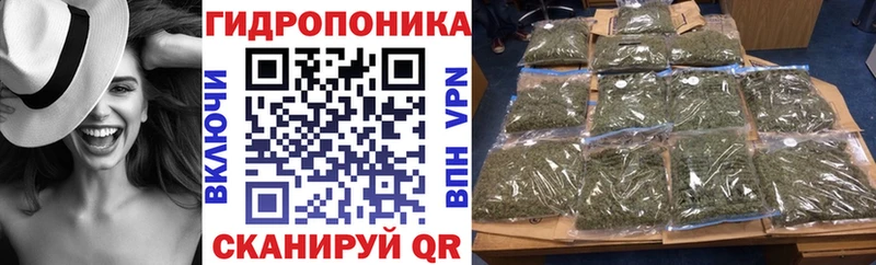 наркотики  Приволжск  Конопля Amnesia 